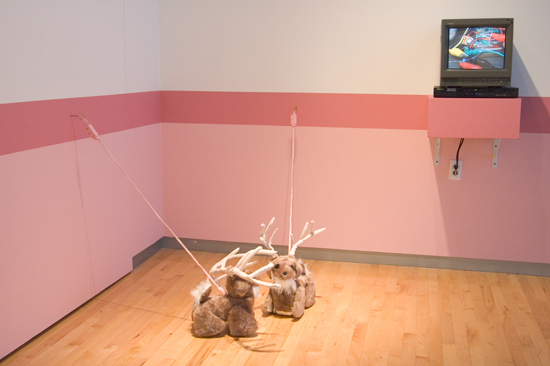 Taxidermy Time Image one