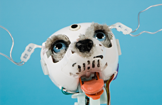 Left to Her Own Devices Image One