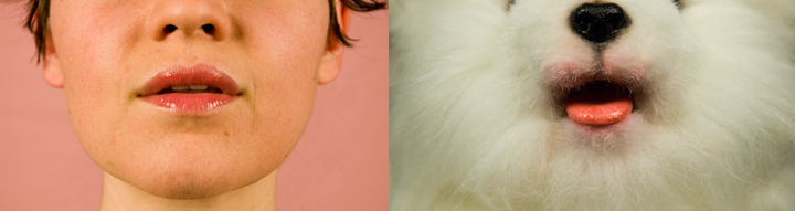 Glossy Transference Image